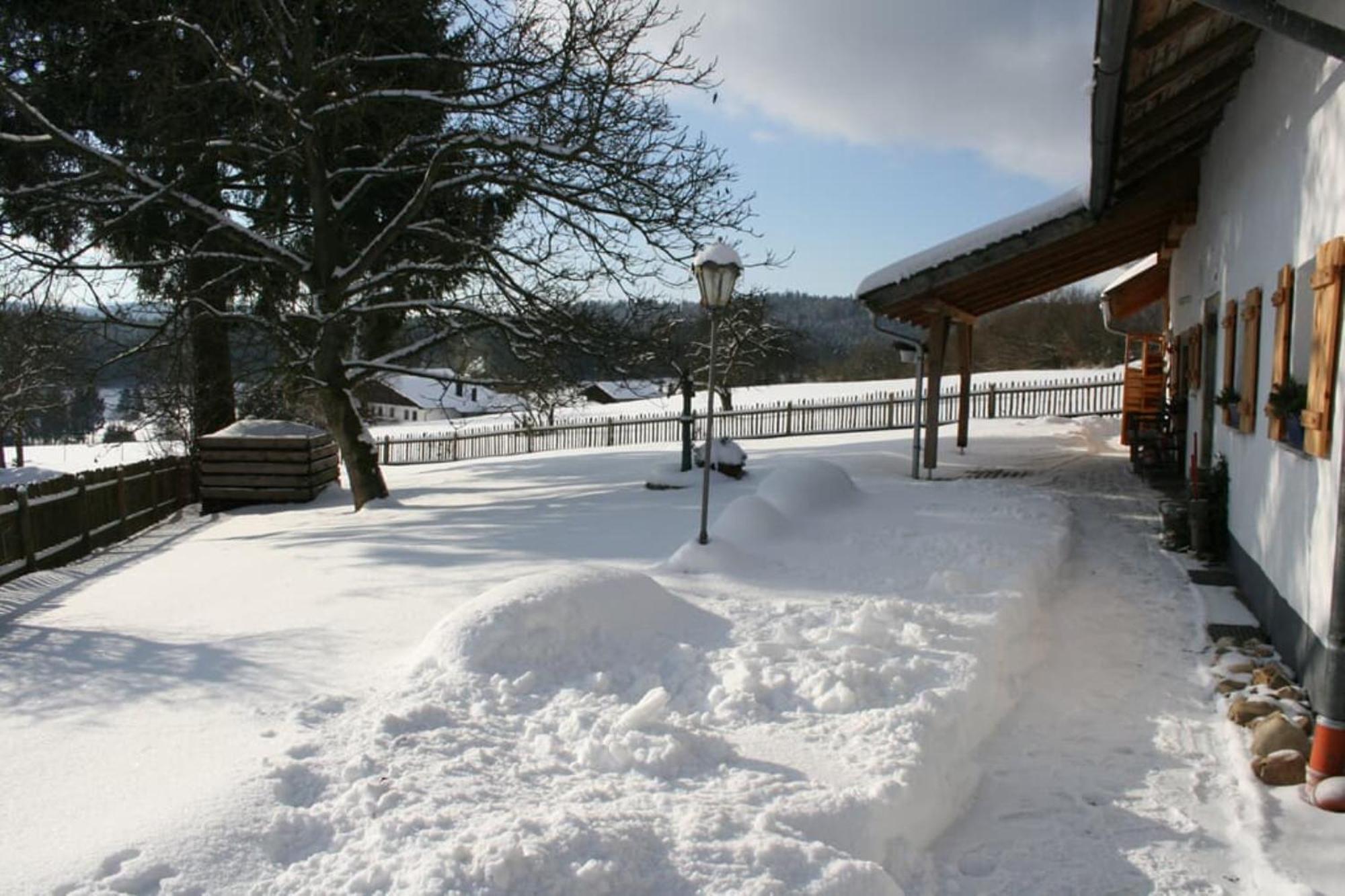 Ferienhaus Winter Blaibach Dış mekan fotoğraf
